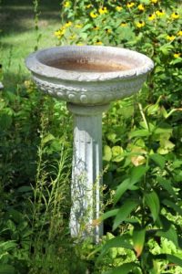 Fight Back Against Mosquitoes Image
